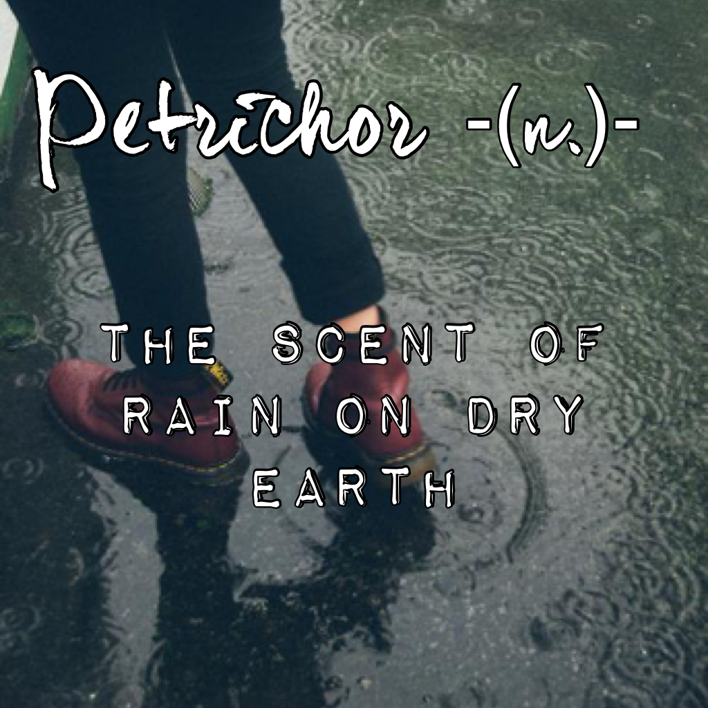 ☔️💧•Petrichor•💧☔️