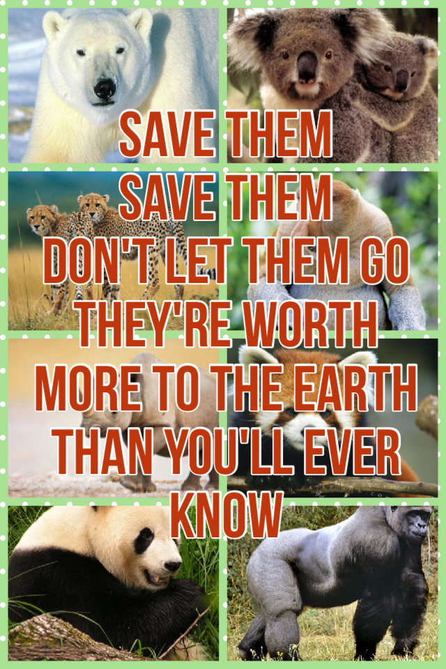 Save them 
Save them 
Don't let them go
They're worth
More to the earth 
Than you'll ever know
