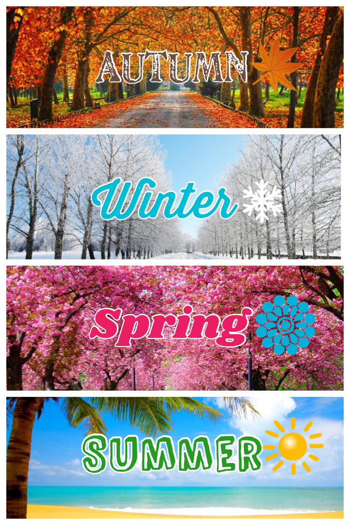 Which season of the year do you prefer? ☀️❄️🍂🌸