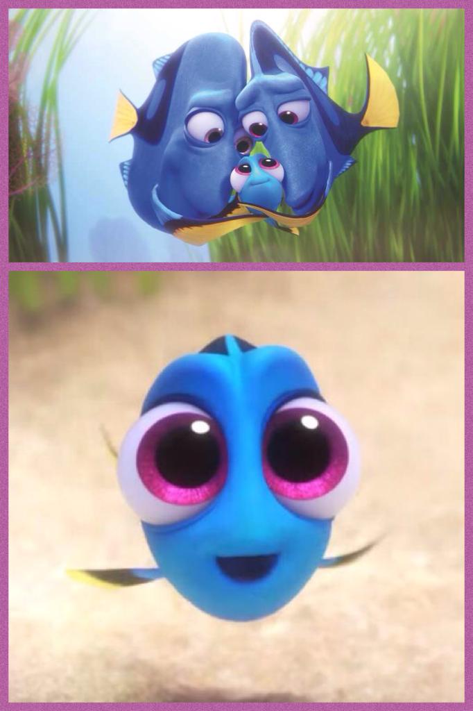 If you have not seen Finding Dory you should go see it now, I'll wait, any way you should go see it baby Dory is so cute!!😊😊😊