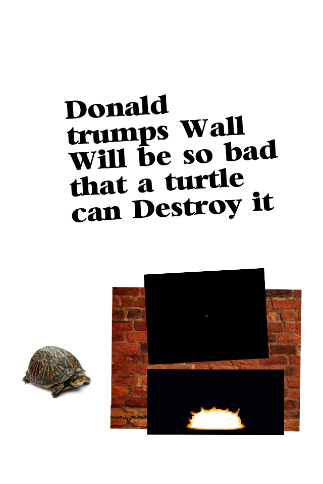 Donald trumps Wall Will be so bad that a turtle can Destroy it