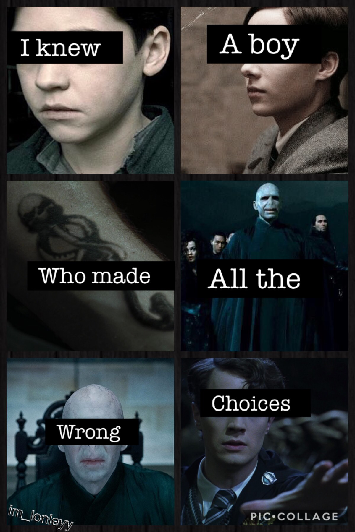 Tom Riddle / Voldemort 