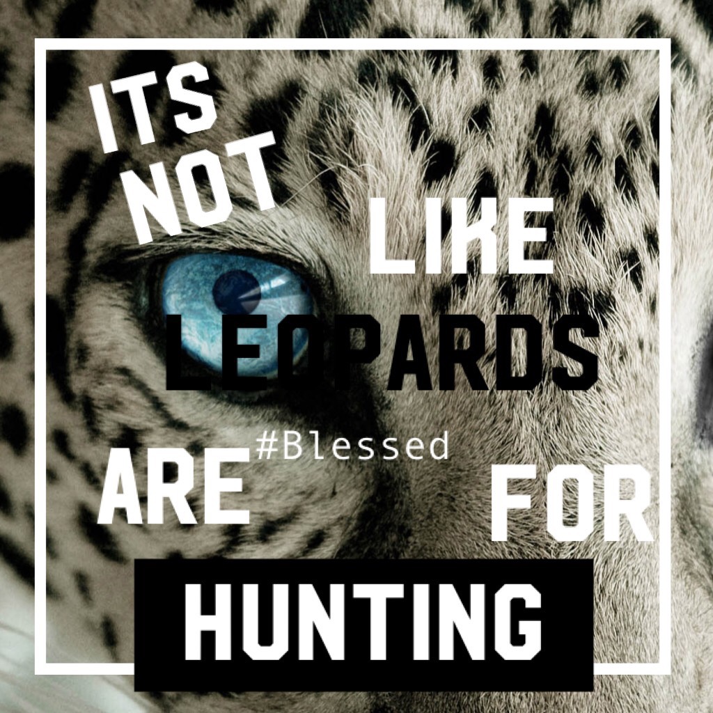 Leopards are not for hunting