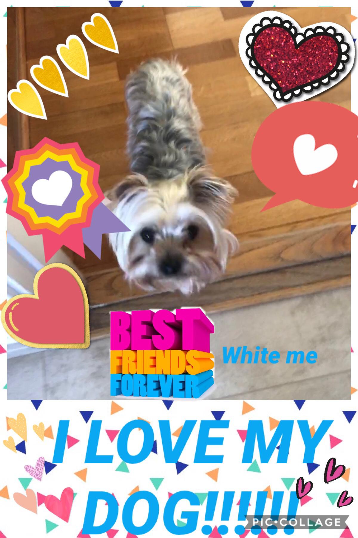 I LOVE MY DOG(MILLA)SOOOOOOO SHE IS MY PET BFF❤️❤️