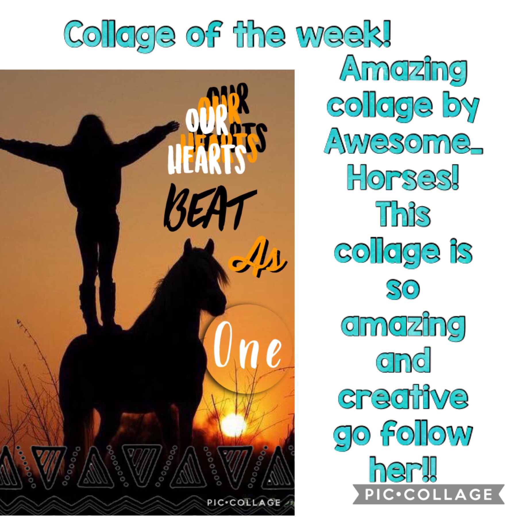 Collage of the week!