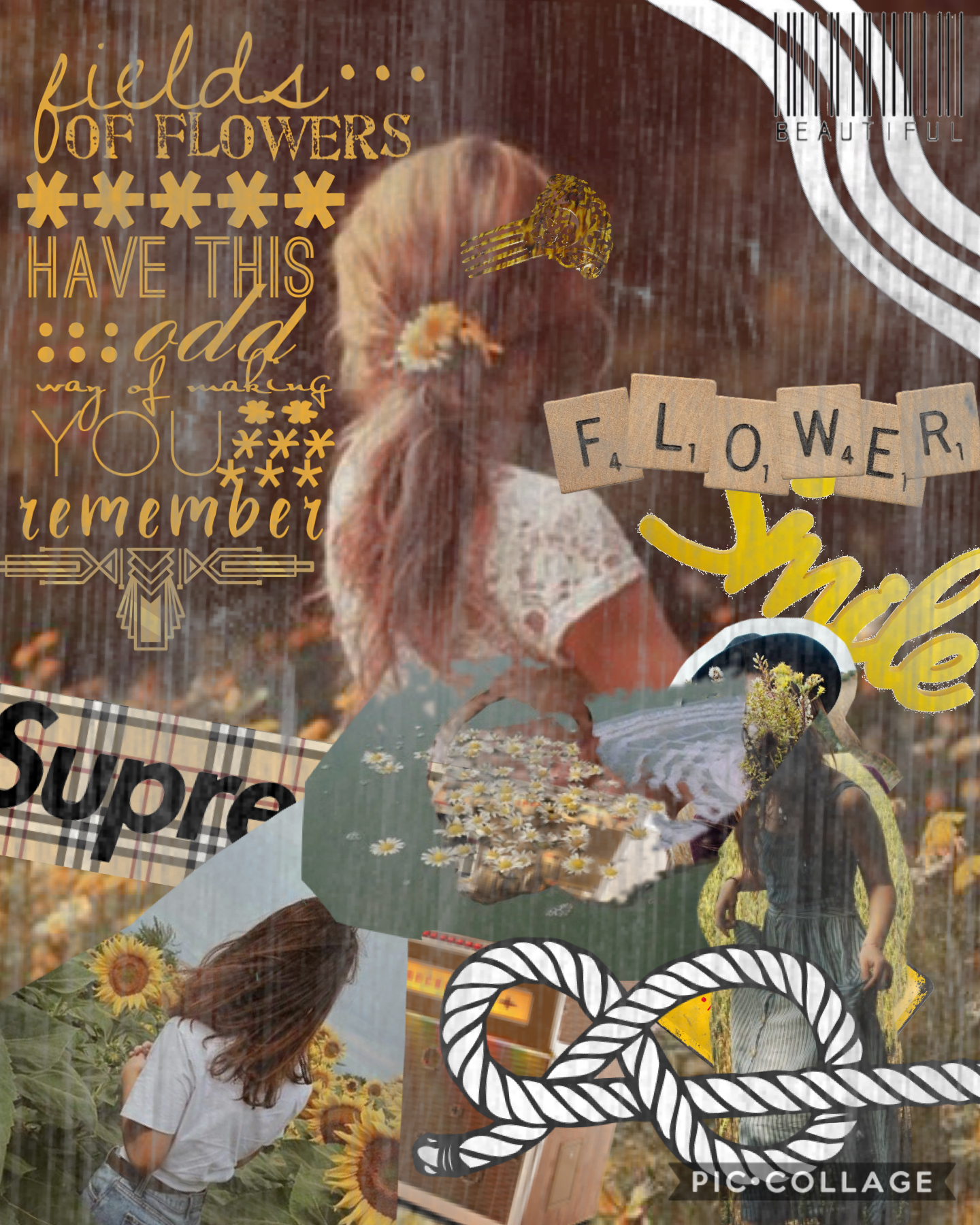 Collage by MoonstarShine
