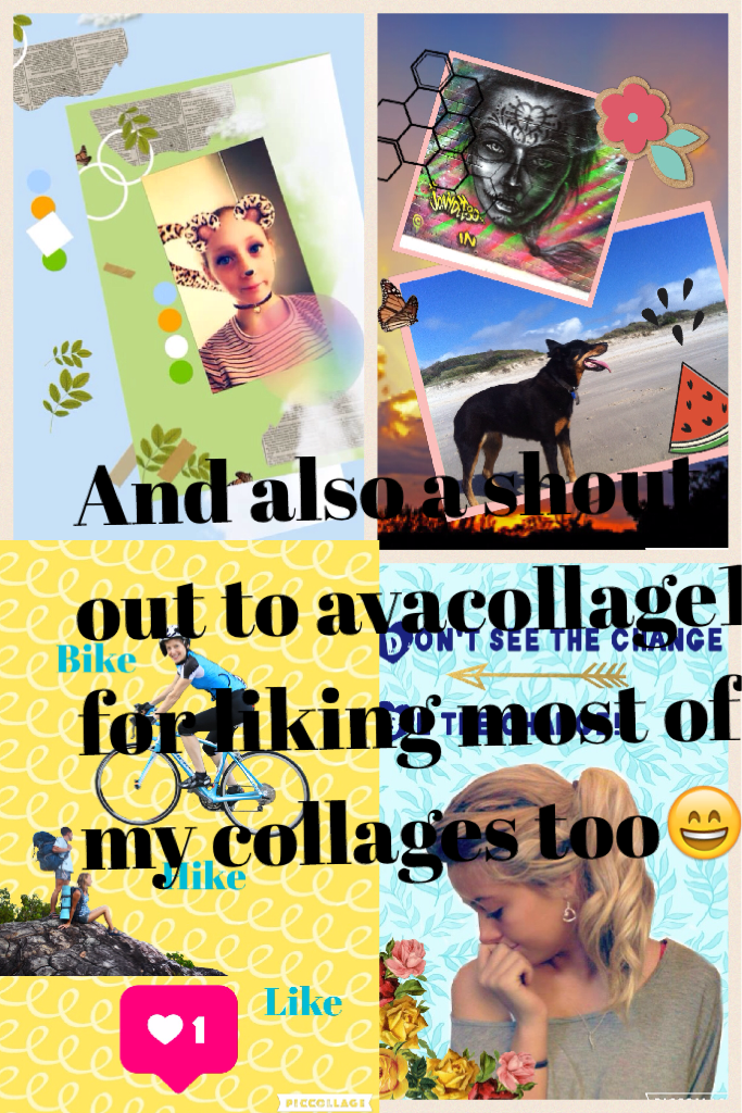 avacollage18