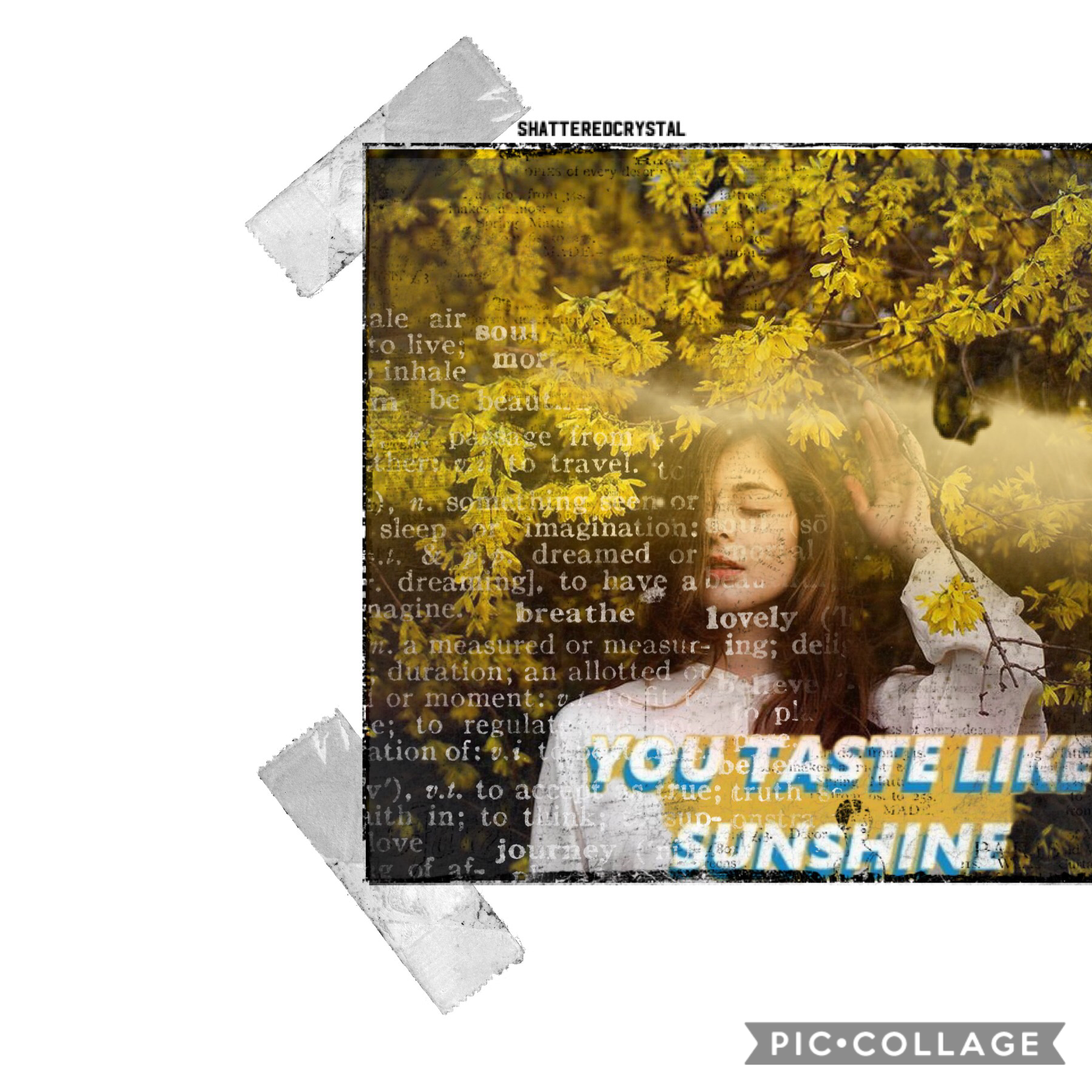 i made this a longgggg time ago and has just been in my collages😅💛☀️