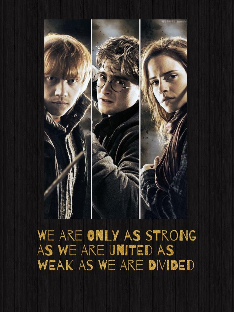 We are only as strong as we are united as weak as we are divided 