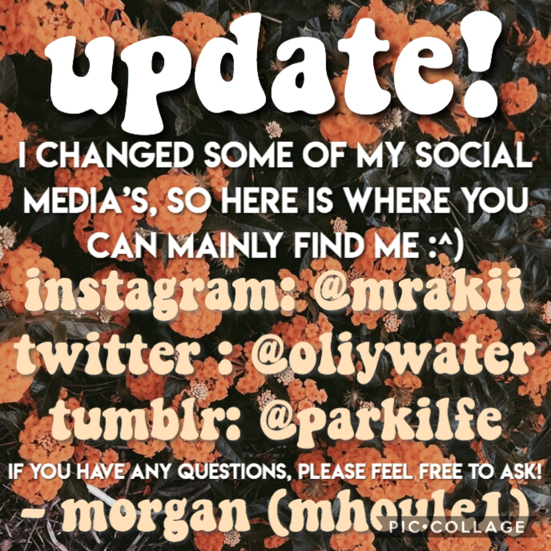 quick update! {click}
you are still welcome to follow my other accounts listed in my last post! I just wanted to let you know that some things have changed and these are my main accounts! thank you!!