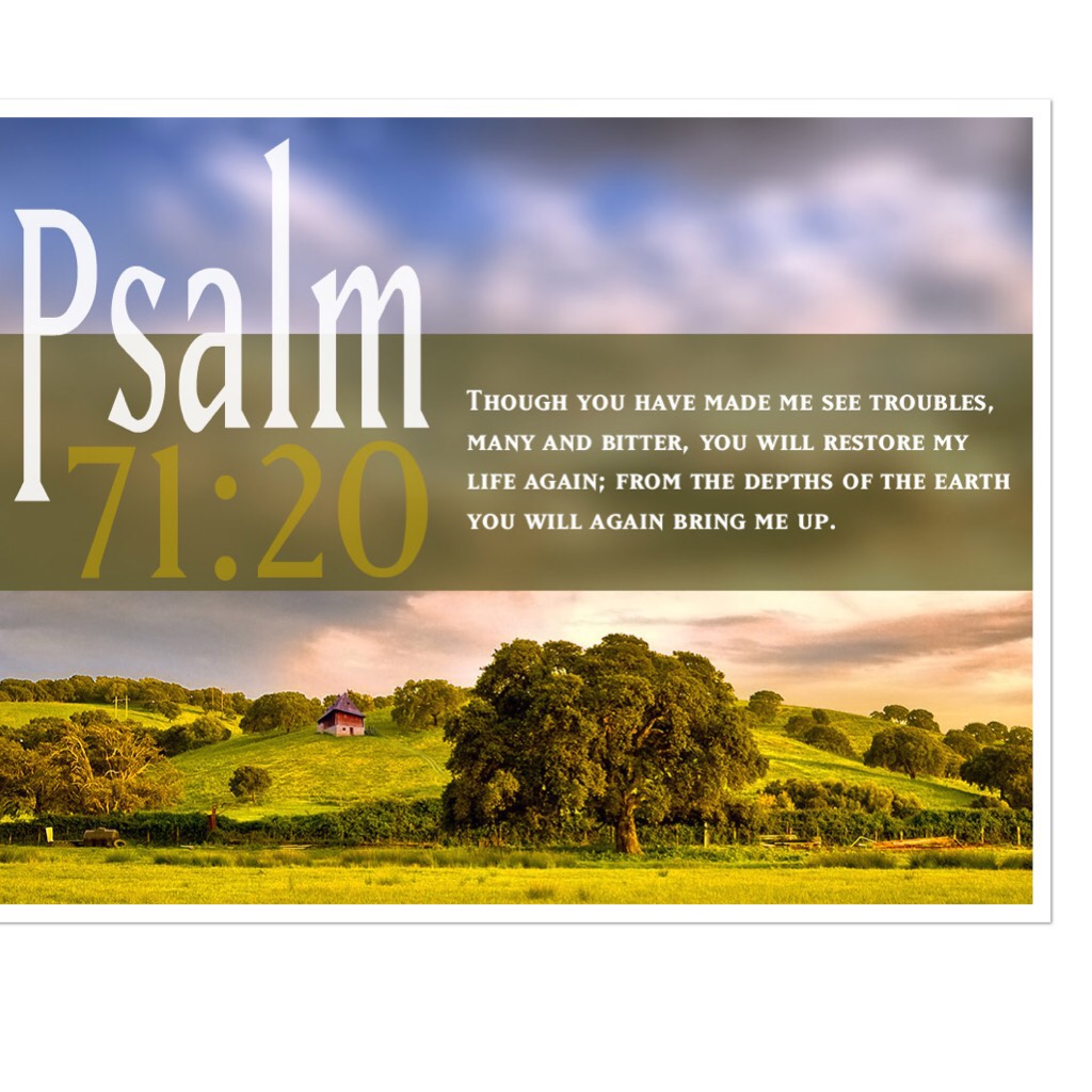 Psalm 71:20