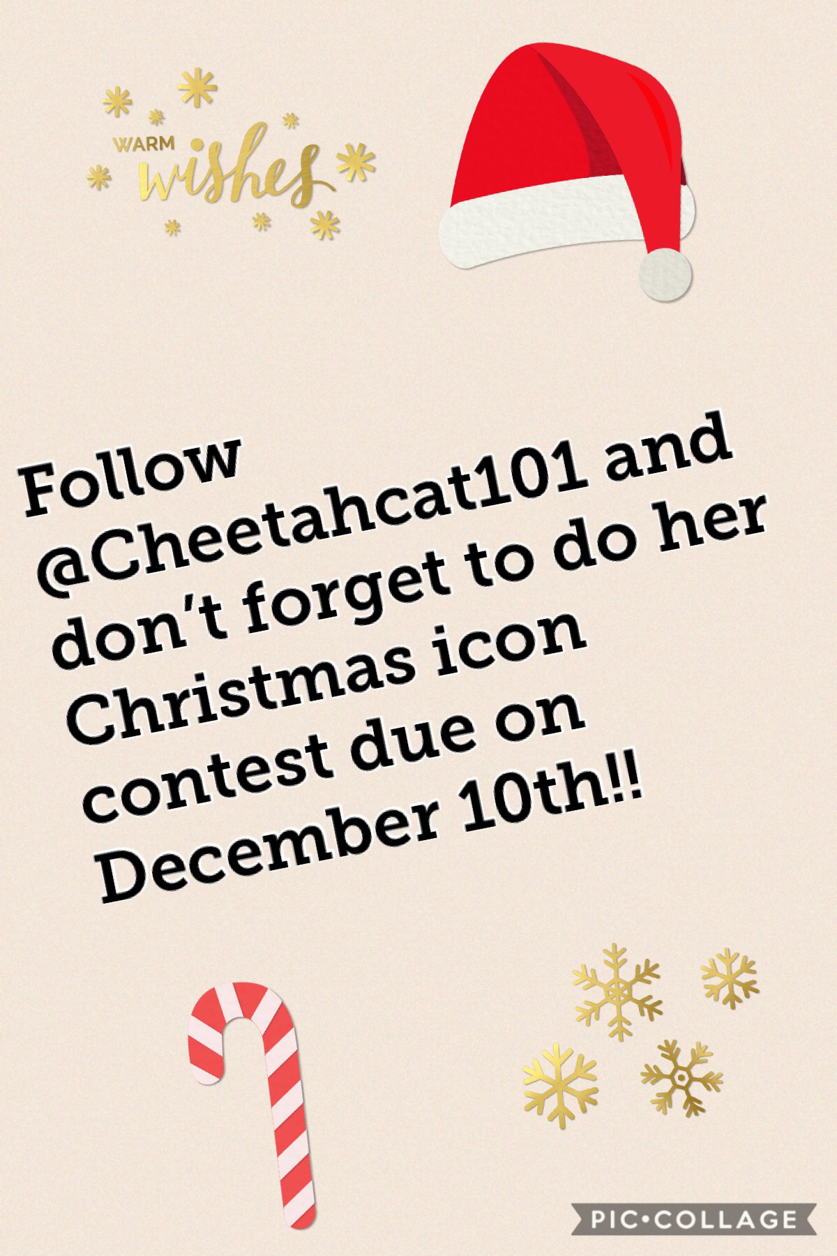@Cheetahcat101 #christmas #iconcontest 😀❤️