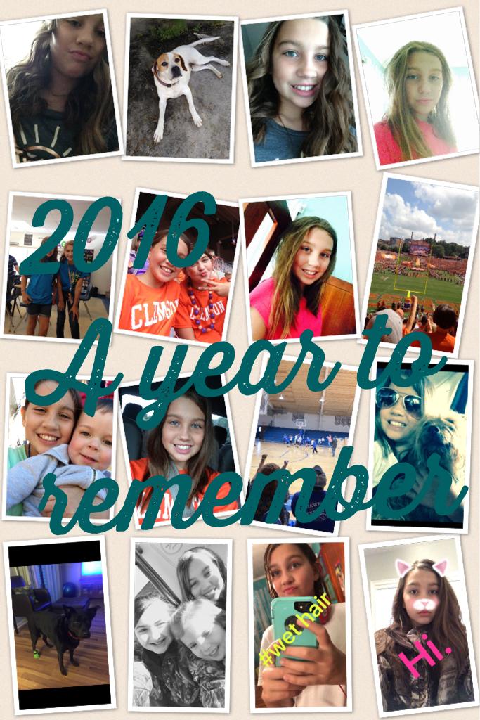 2016
A year to remember 
 Not all my pics in 2016:)
