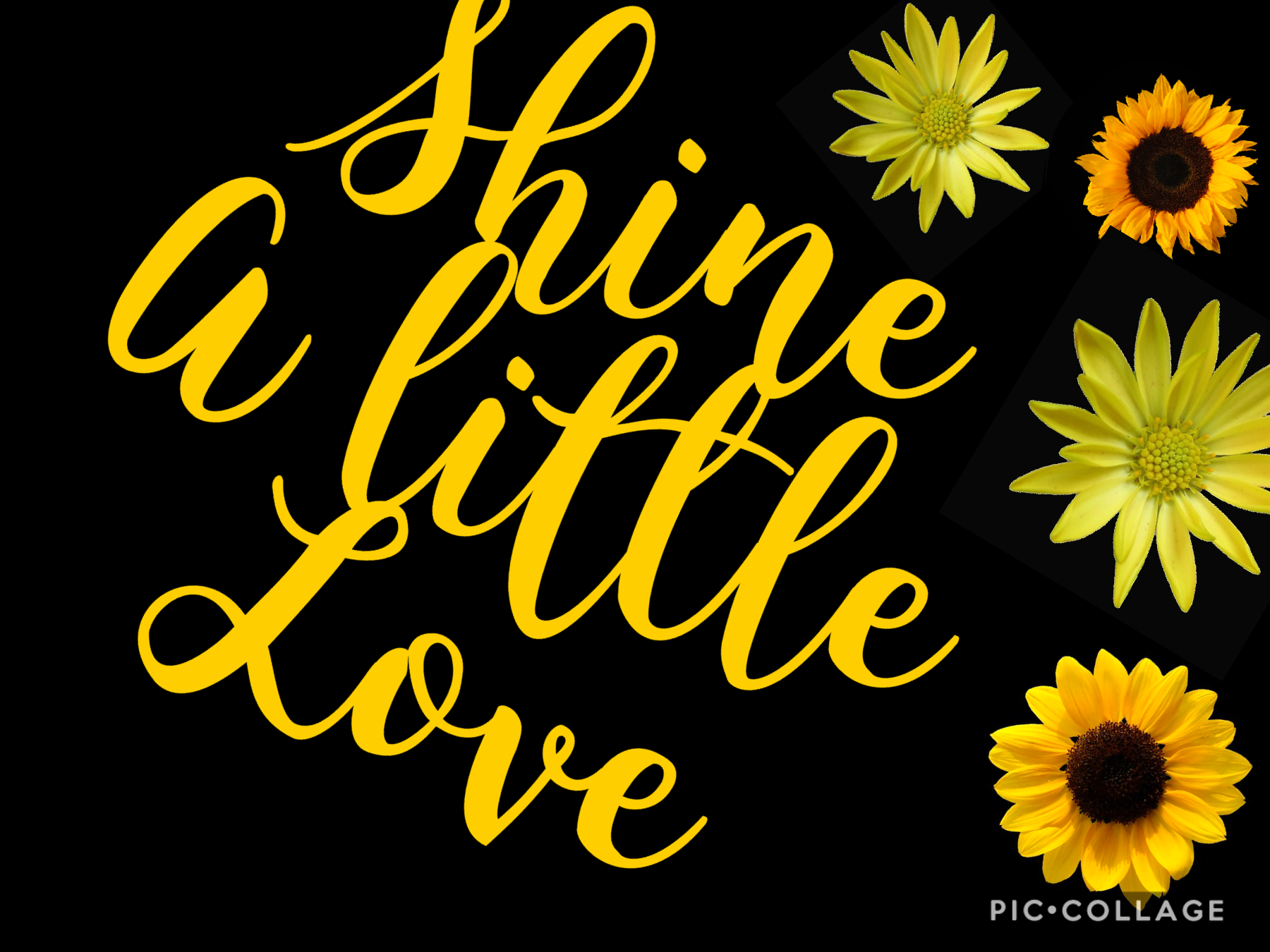 Shine a little love