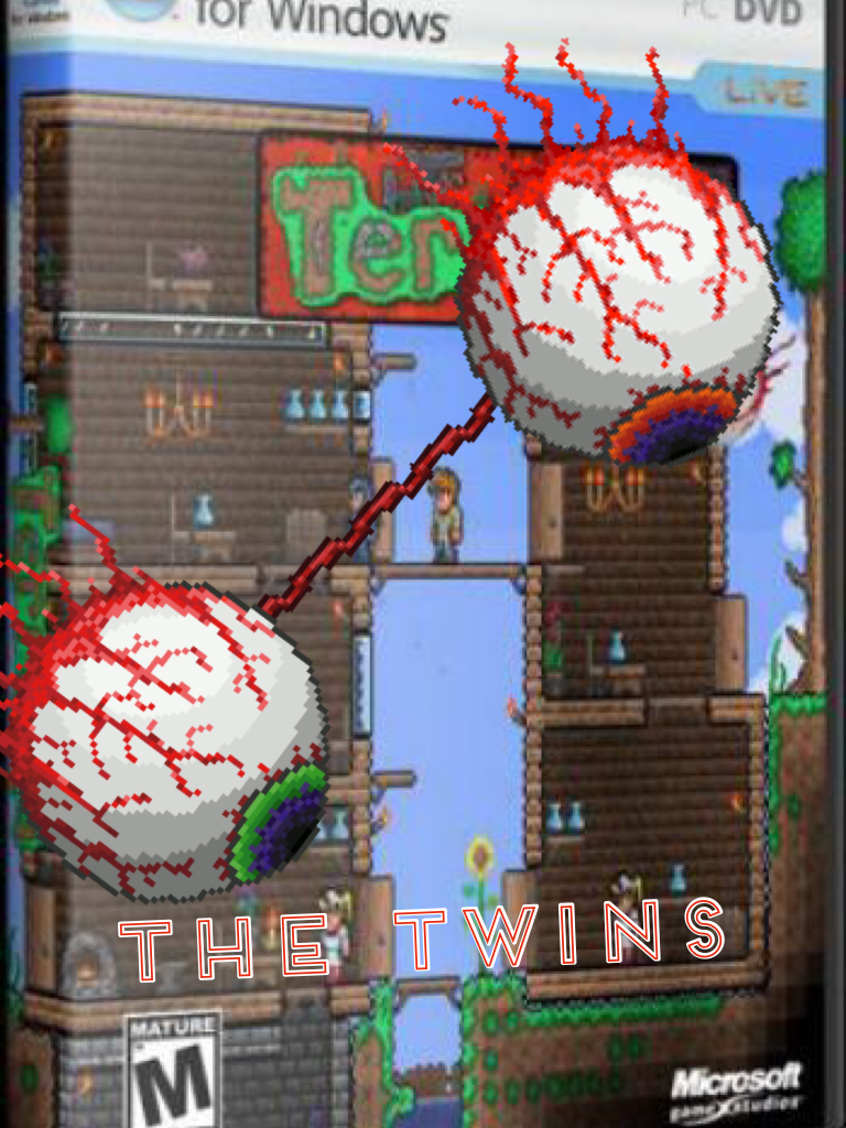 The twins