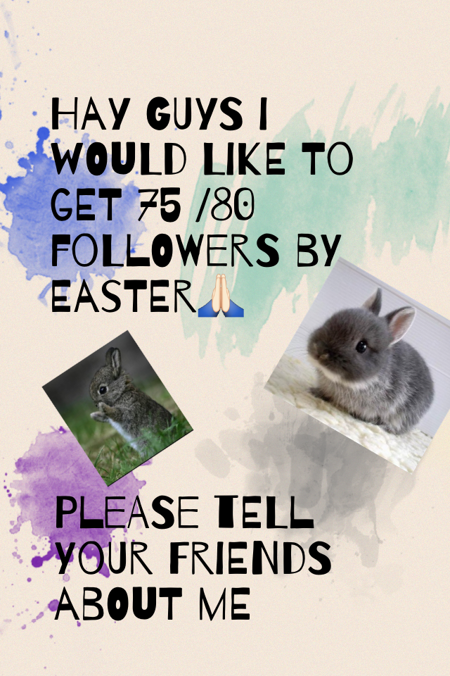 Hay guys I would like to get 75 /80 followers by Easter🙏🏻 