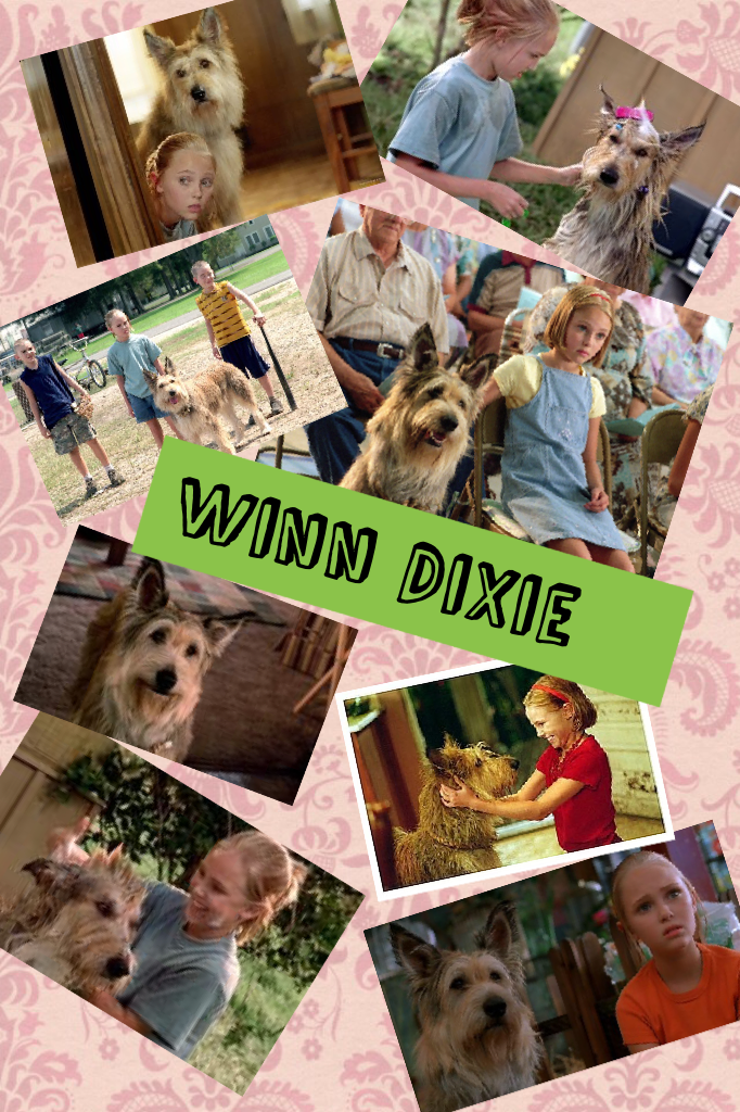 Winn Dixie is the coolest dog ever to be seen 