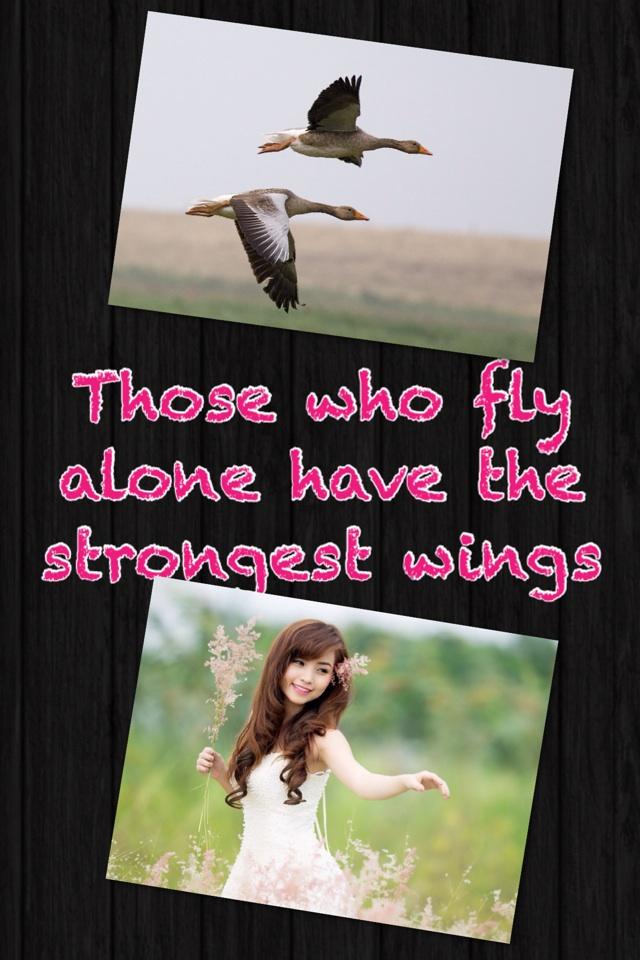 Those who fly alone have the strongest wings 
