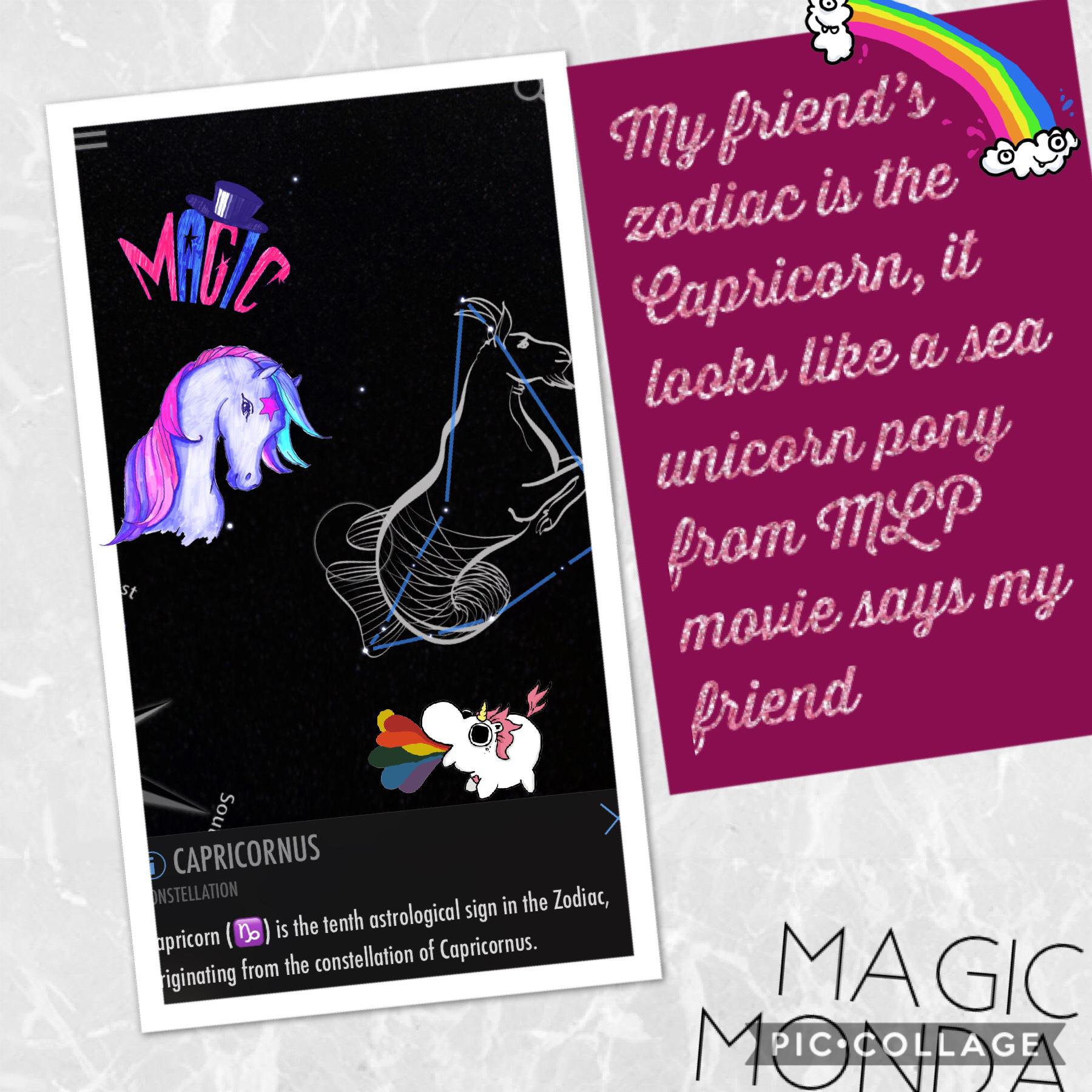 My Friend’s Zodiac is the Capricorn and she loves unicorns!! 🦄