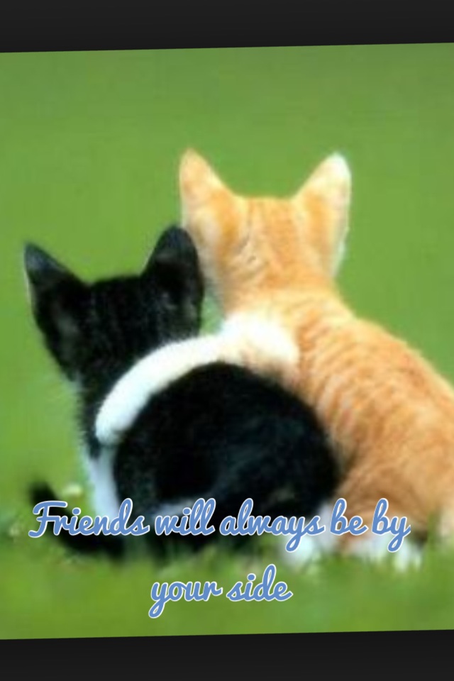 Friends will always be by your side