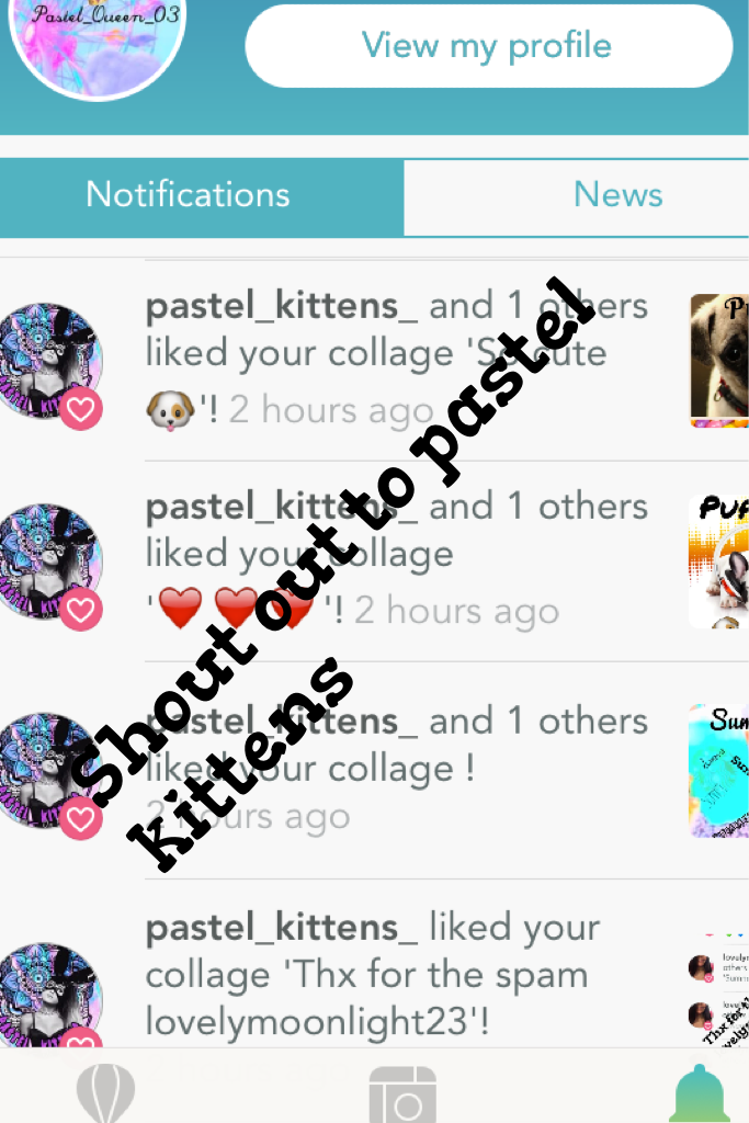 Shout out to pastel kittens 