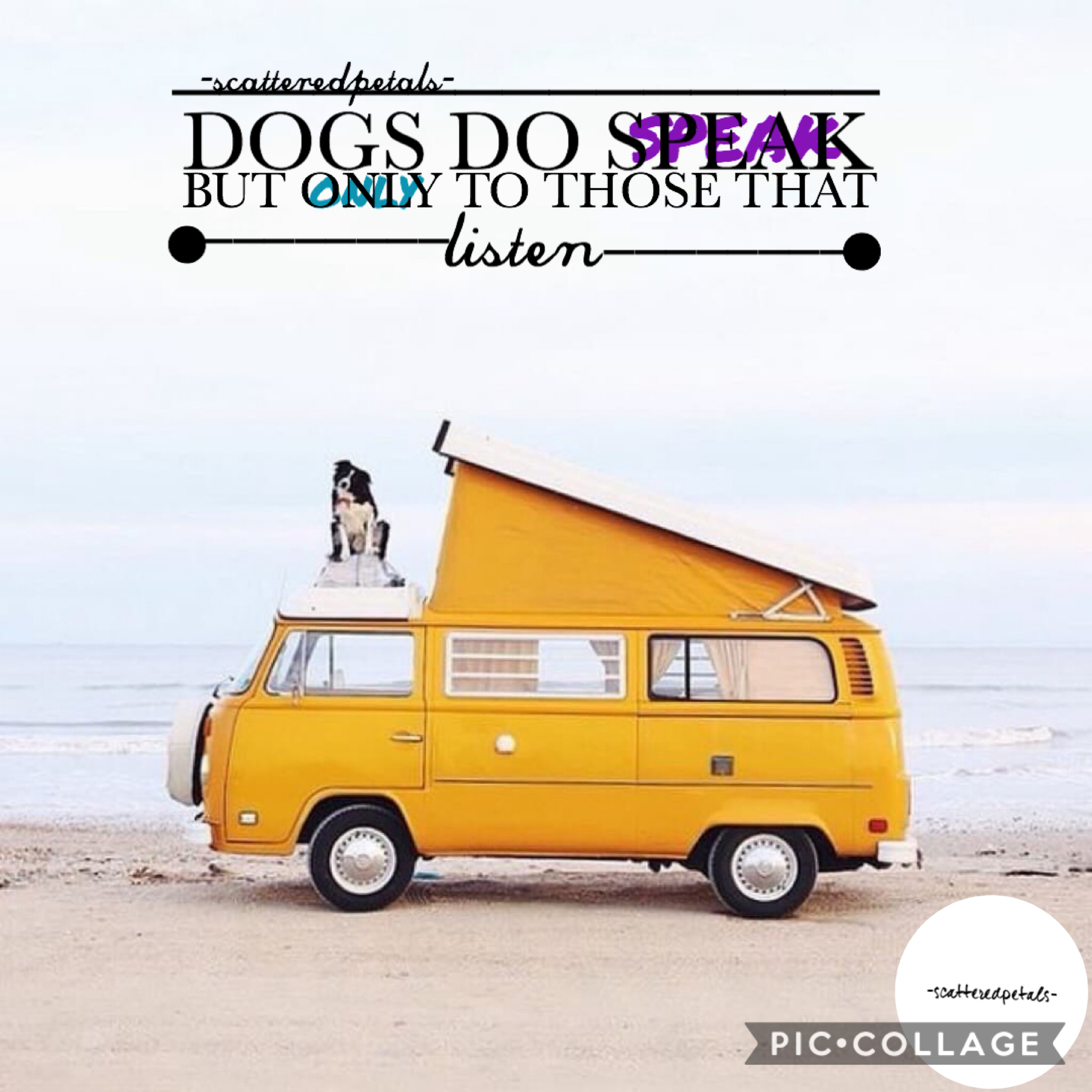 Tap
What do you think, let me know!
Quote: “Dogs do speak, but only to those that listen”
Question: should I change my username?
Suggestions of I do Change my username: -scatteredroses-, -exhale, -scatteredflora-

7/23/20