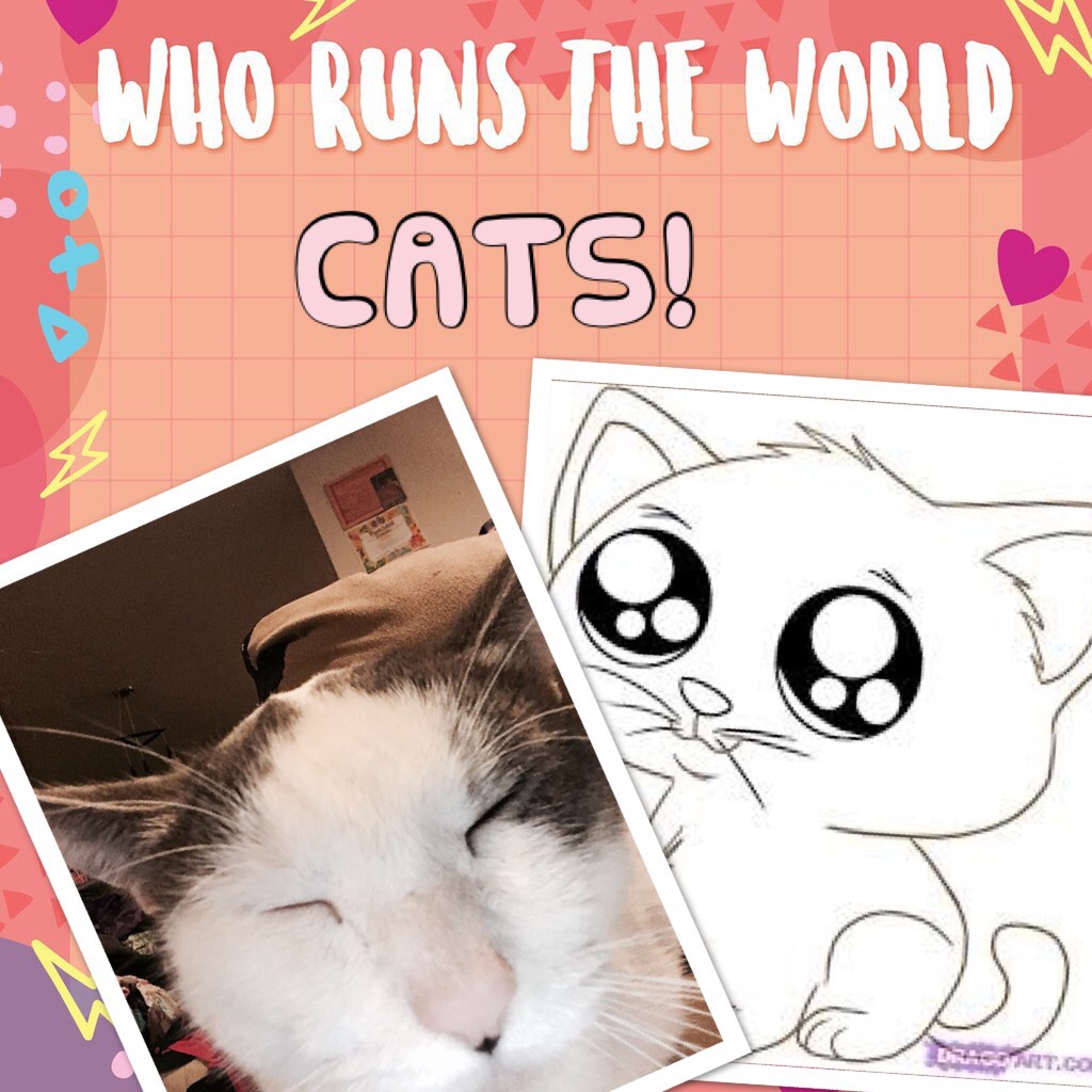 Who Runs The World?  CATS!
