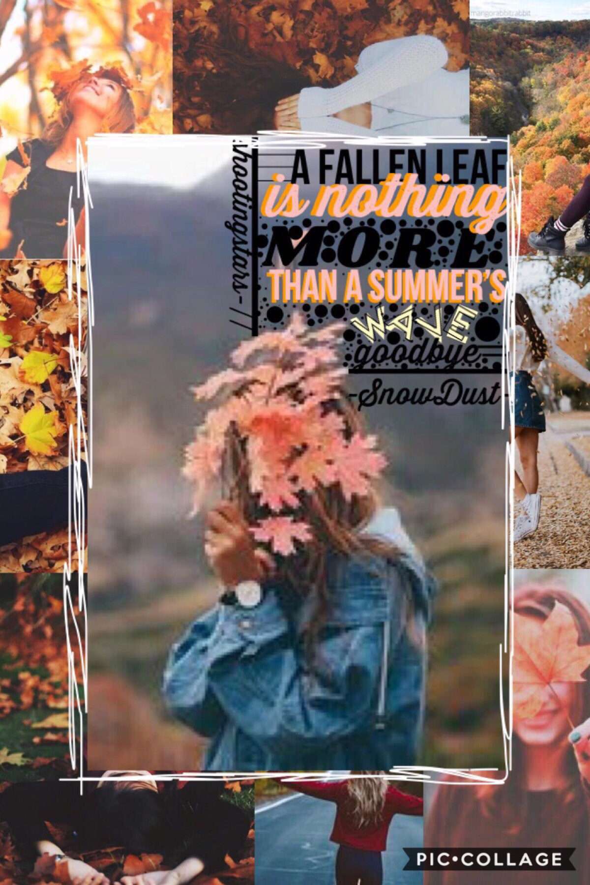 🍁 Tap 🍁
Another fabulous collab with shootingstars-!!! She is one of a kind! I chose the images for the background and chose the quote. She did all the work of putting it together!!! This also features shootingstars- new style!