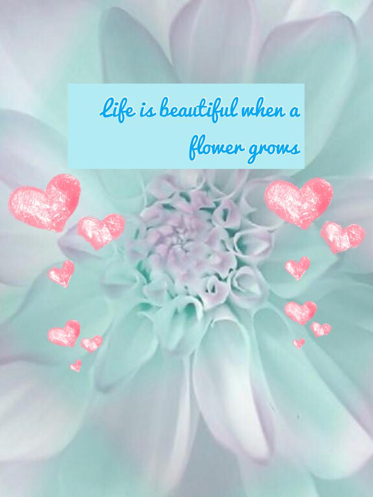 Life is beautiful when a flower grows
So I hope you like it