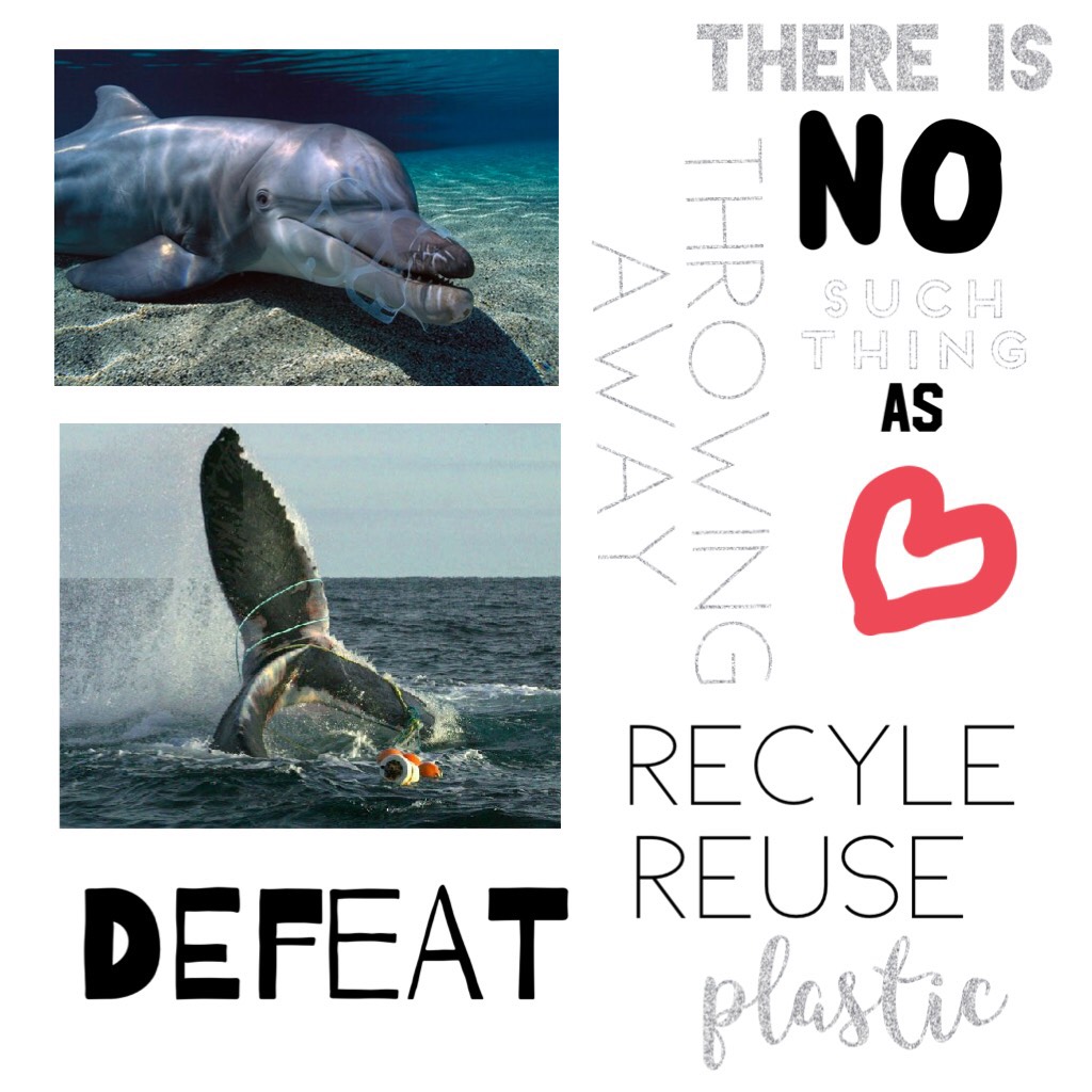 Recycle ♻️ Our Plastic!!!! The fish are eating this toxic substance, we eat that fish, so there are toxins inside of us!!!! Our plastic water bottles, bags and more give us chemicals!!!! Try to reuse  and recycle as much as possible!!!! Don't let our plas