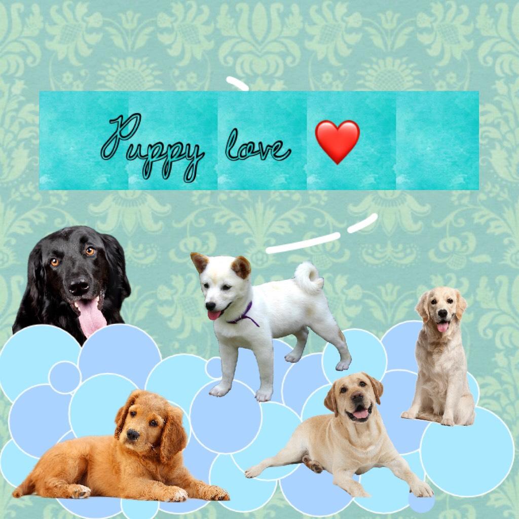 Puppy love ❤️ 
