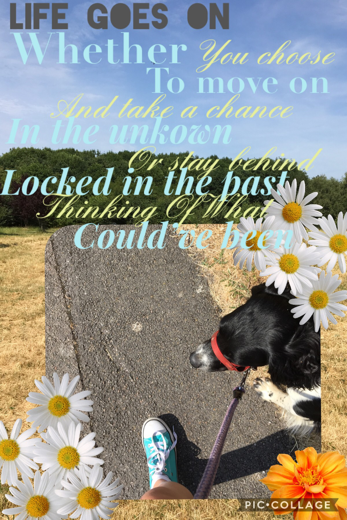 •Tap•
Photo taken by me. I went on a lovely walk in the fields with my friend her dog and my little Indi. 
QOTD: Favourite thing to do in the summer 
AOTD: Be a hermit in my room playing video games, walking the dogs with friends and doing thing with my f