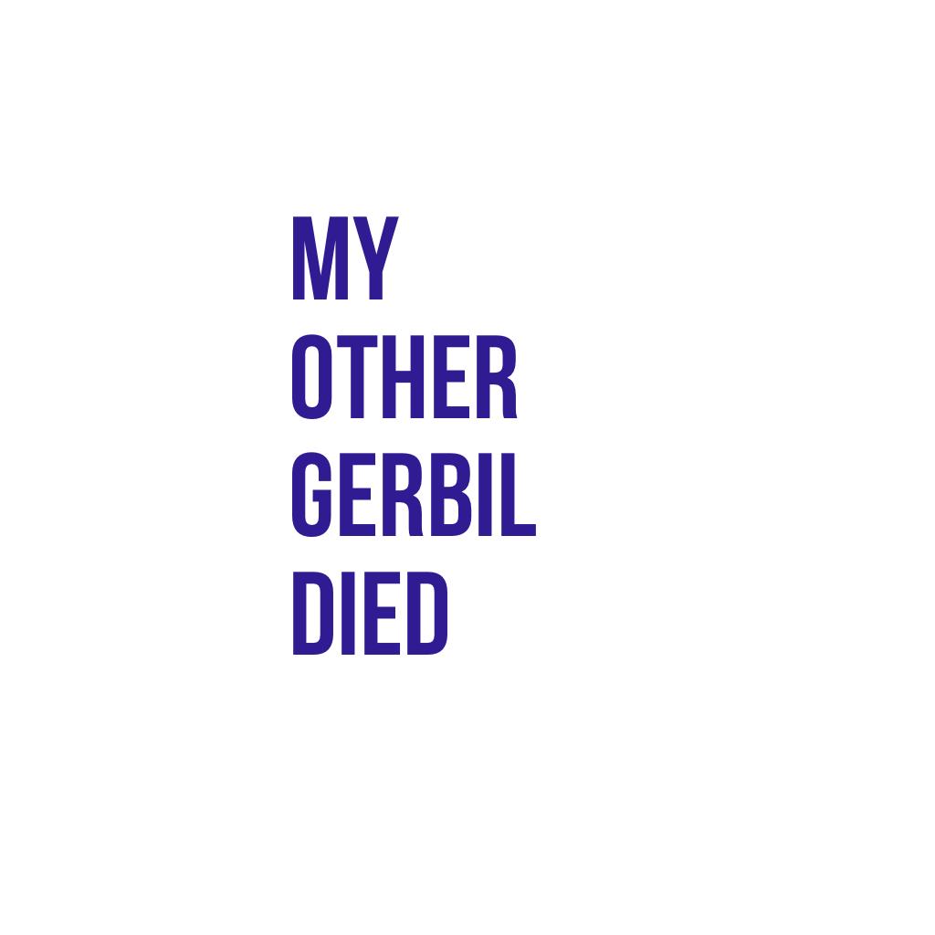my other gerbil died while i was in new york