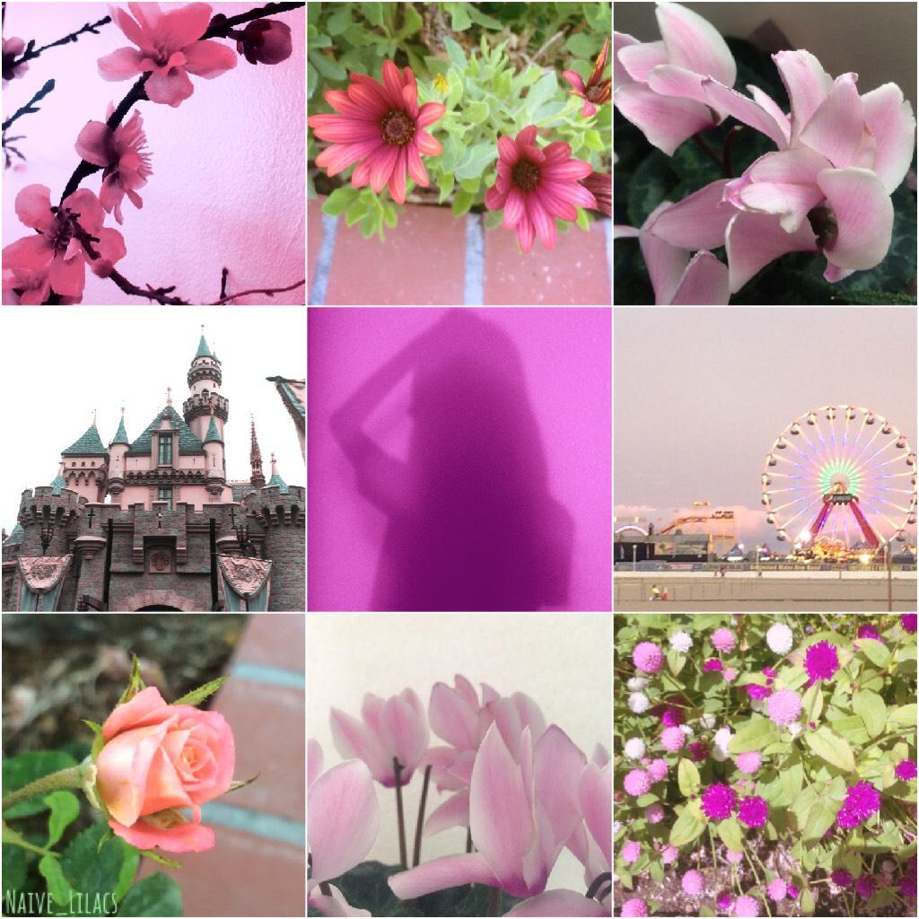 Here’s the second aesthetic made of my own photos, I went with a pink-ish theme this time🌸I’ll be going back to school next week... fun📚comment something that a lot of people don’t know about you (doesn’t have to be a major secret, it can be as small as a