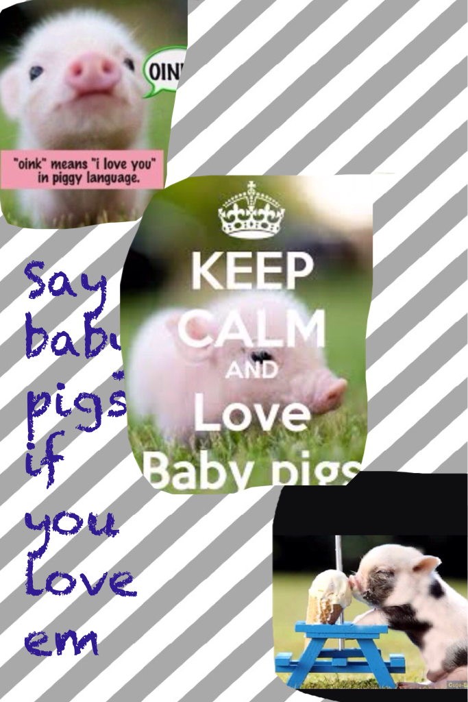 Say baby pigs if you love em