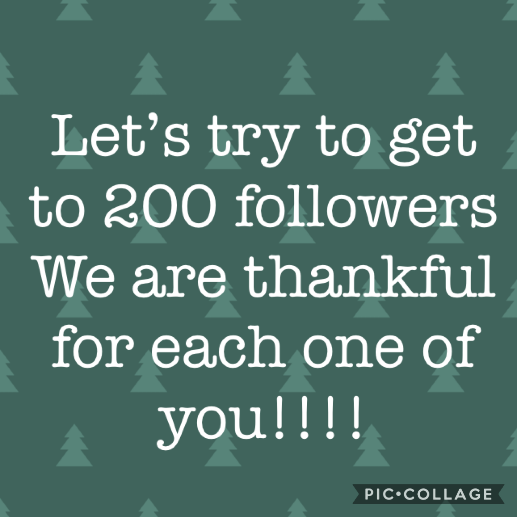 Thank you for 164 followers!! Share is with your friends and family so we can get to 200 by the end of the year. And bonus we are going to do more shoutouts