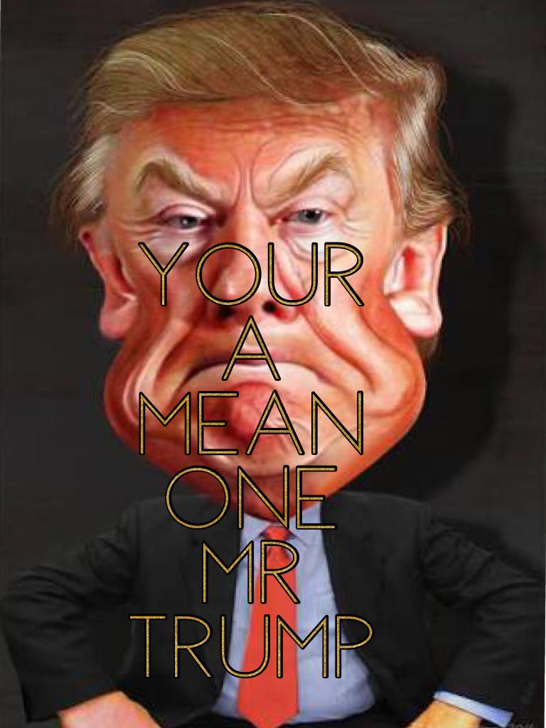 Your a mean one mr trump