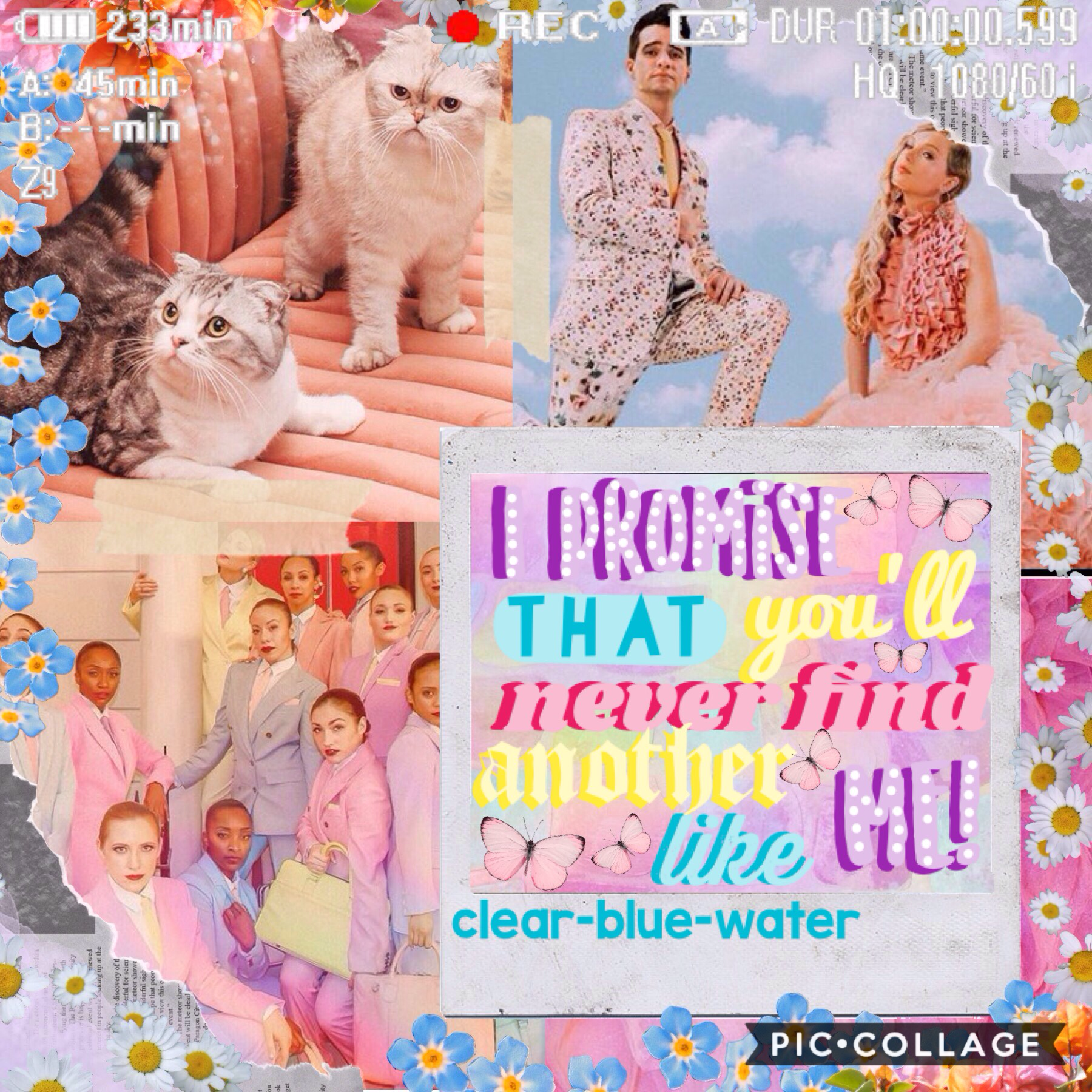 💖T A P💖
Love this song sm!!
QOTD: Which one of Taylor's cats is your favorite
AOTD: I love all of them but Benjamin is so cute 