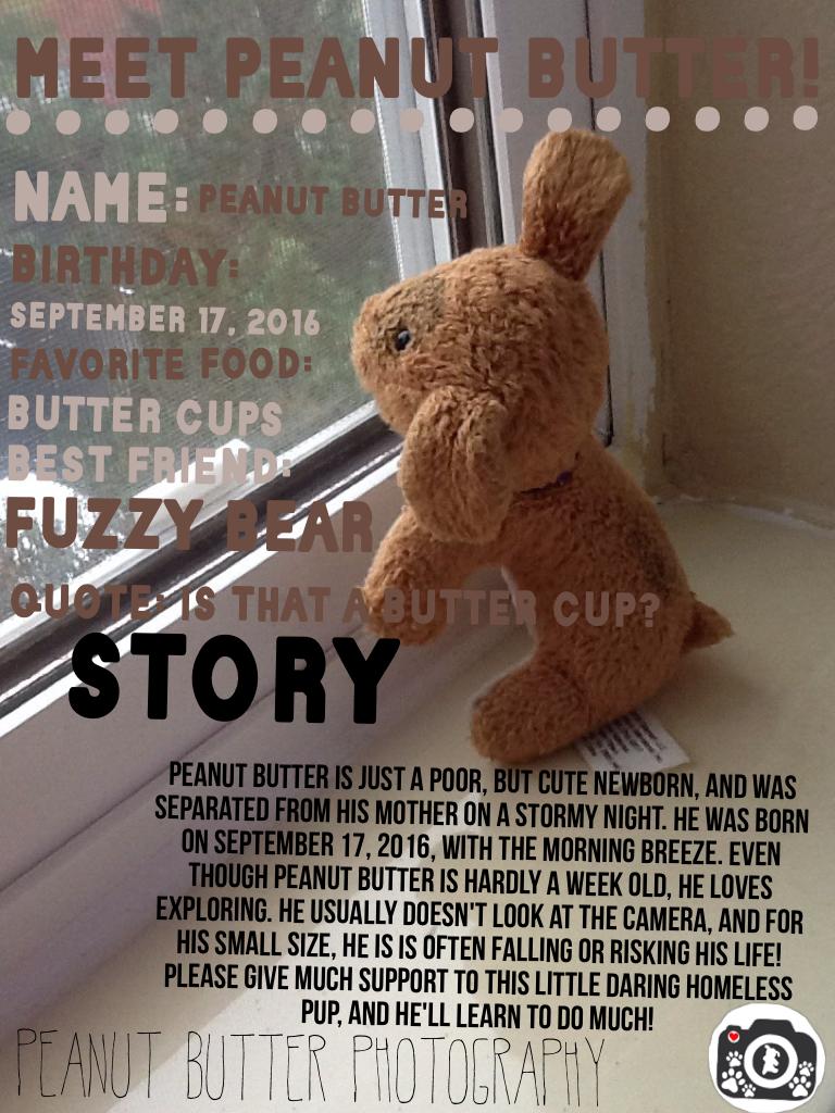 Go check out FuzzyBearPhotography because Fuzzy Bear is Peanut Butter's best buddy! They always travel together, so try to find a pic of Peanut Butter in FuzzyBearPhotography! I also forgot to mention that Peanut Butter's nickname is Peanut Buddy!