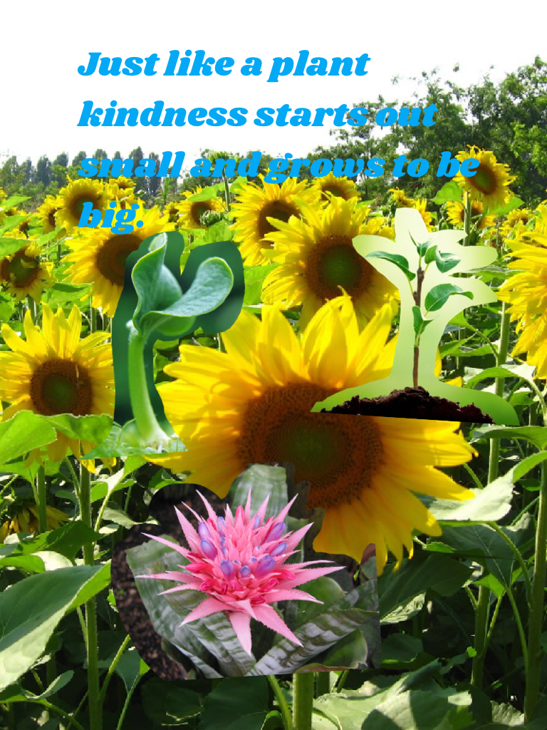 Just like a plant kindness starts out small and grows to be big.