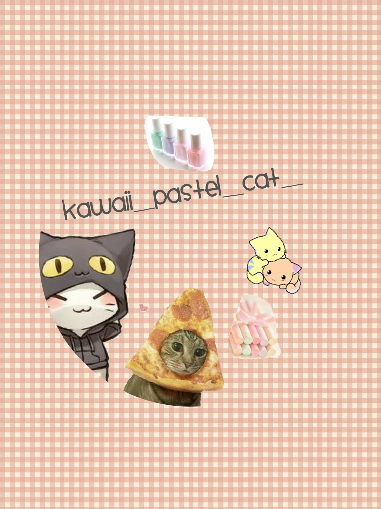 __Pastel__Cat__Queen