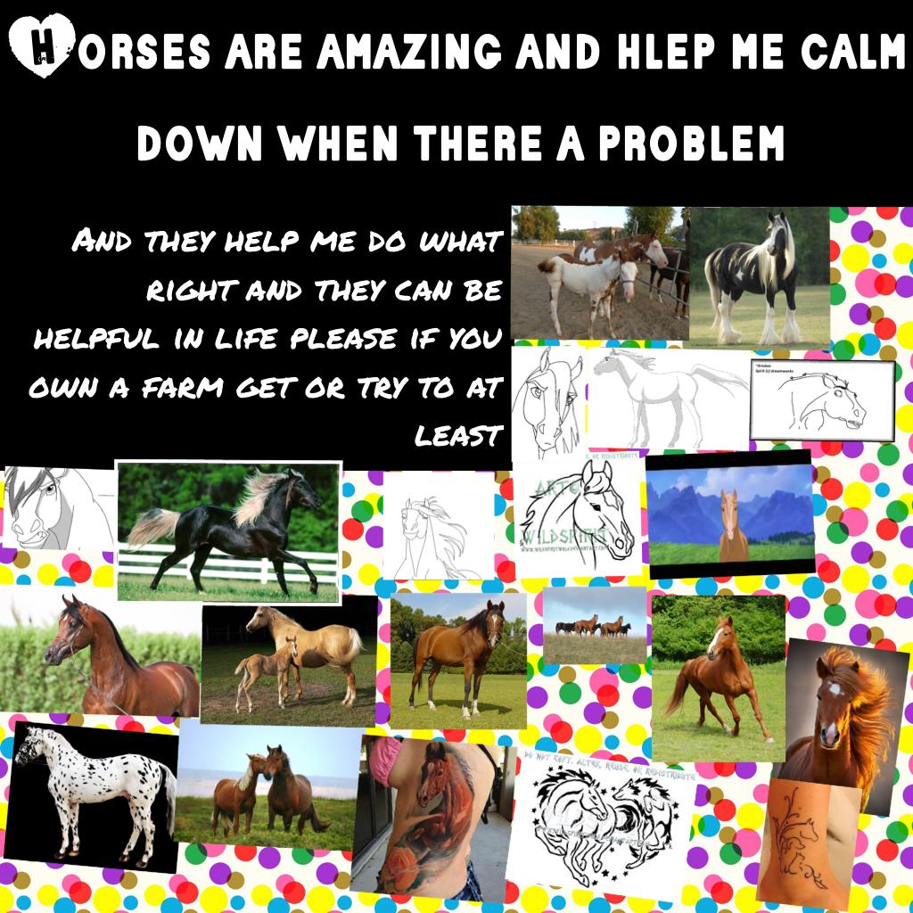 Horses are amazing and hlep me calm down when there a problem