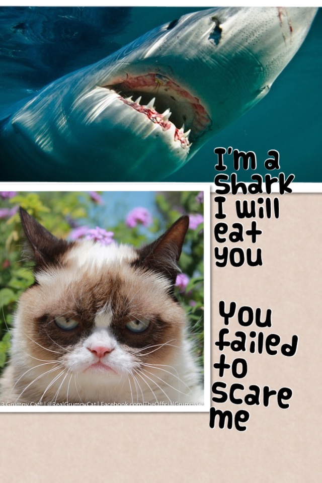 You failed to scare me