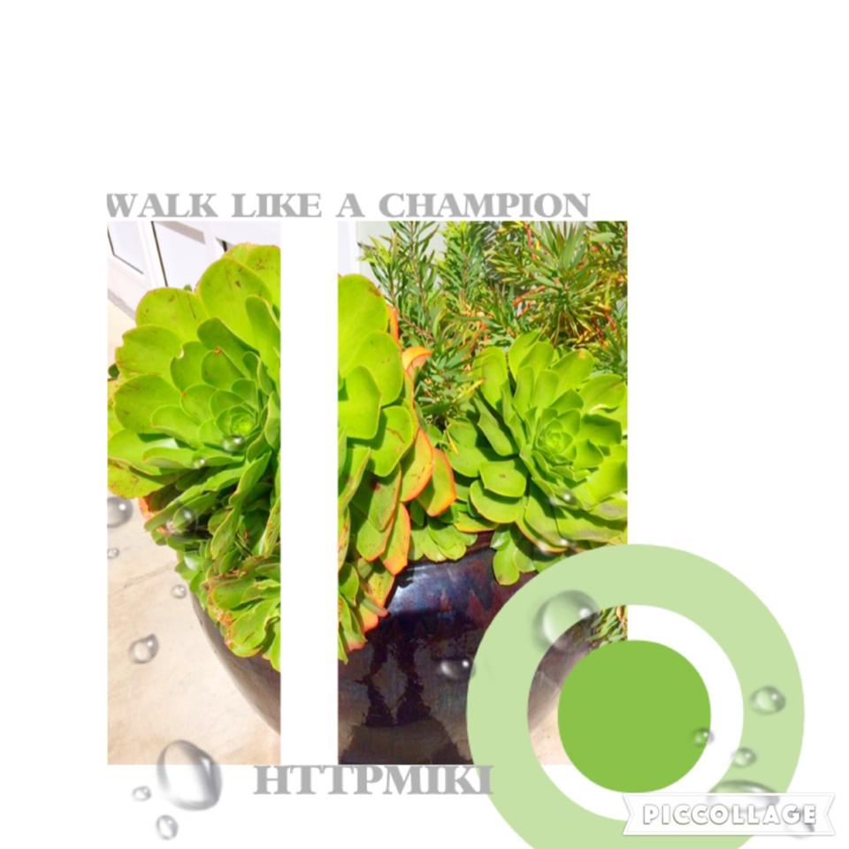 ☘💦°CHAMPION°💦☘


Follow my musical.ly

HttpMiki 
