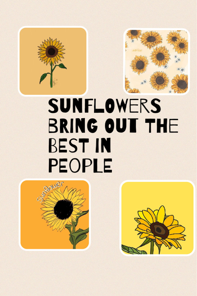 Sunflowers bring out the best in people