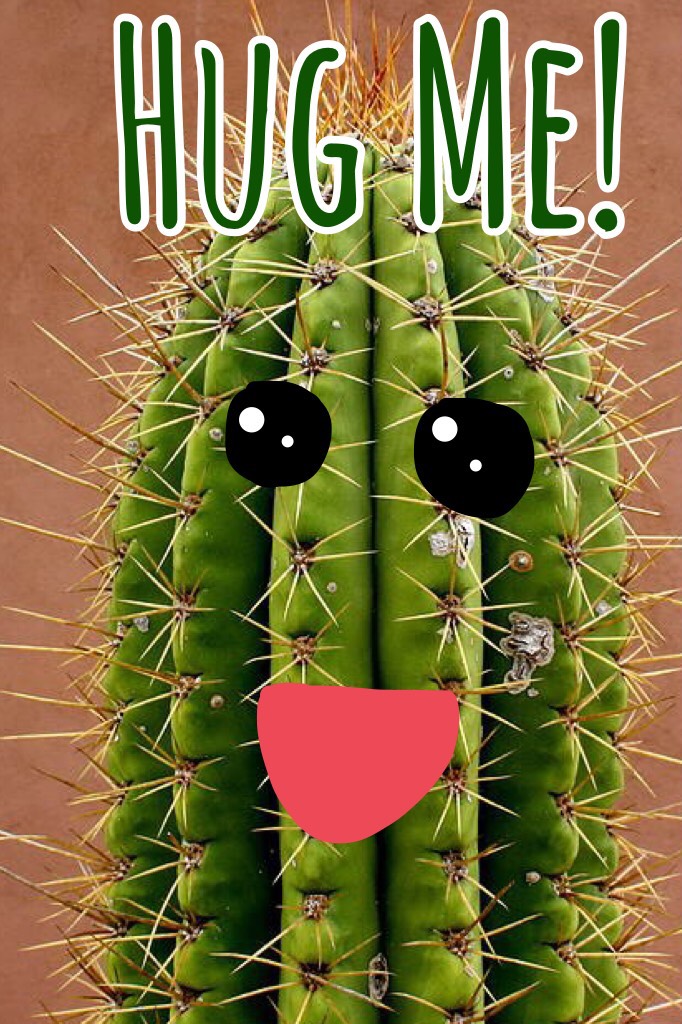 Hug Me!-Connie Cactus 🌵😋