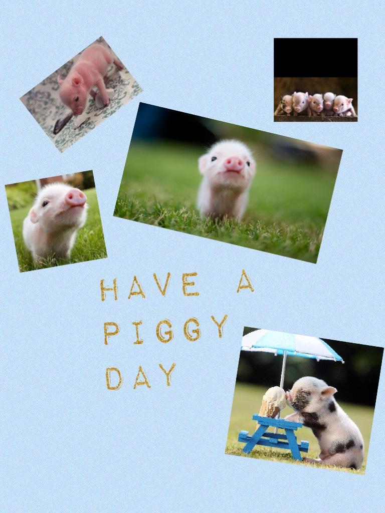 Have a piggy day