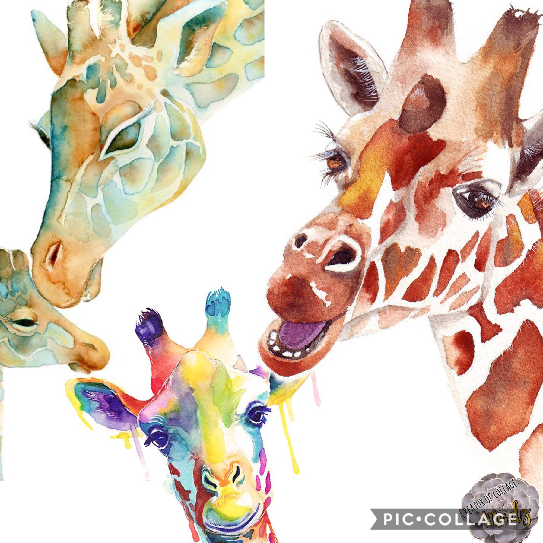 Comment your fave animal/s. One of my fave is giraffe. Bye #madzfam