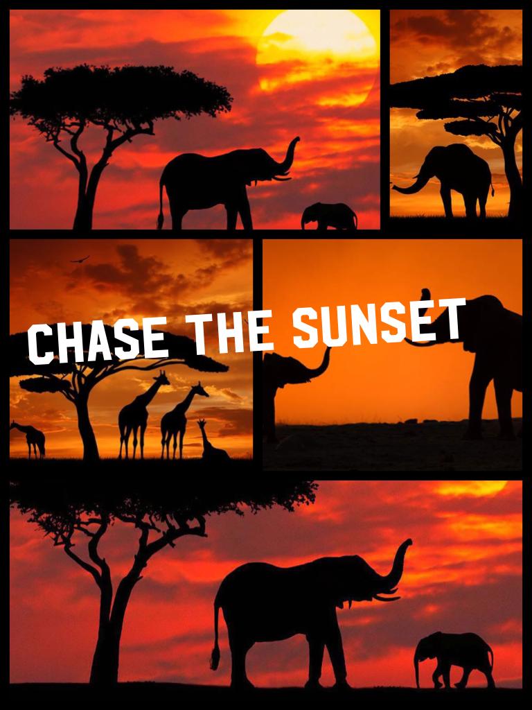 Chase the sunset