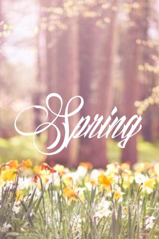 Happy Spring! 🌷